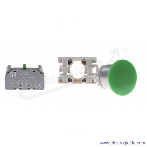 SP22-DZ-10