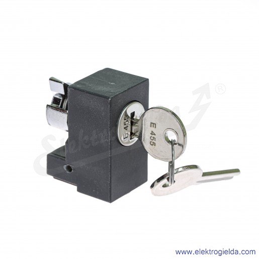 Wkładka klucza NSYIN4551 do Spacial SF/SM, numer 455