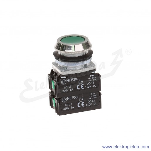 Przycisk sterowniczy NEF30 Kz2X2Y zielony kryty 30mm 2NO+2NC