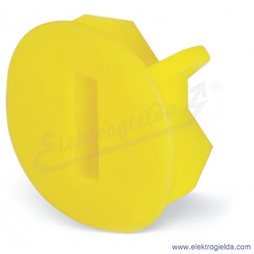 Obraz poglądowy