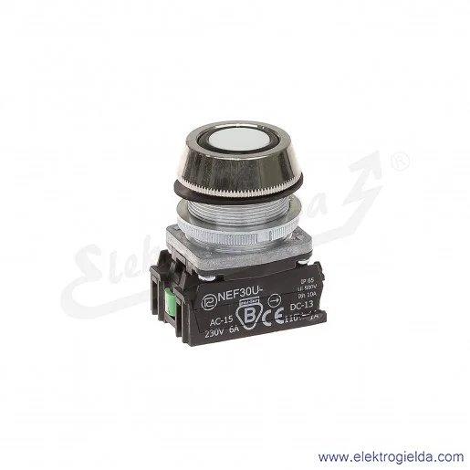 Przycisk sterowniczy NEF30 UKbXY biały kryty uszczelniony 30mm 1NO+1NC