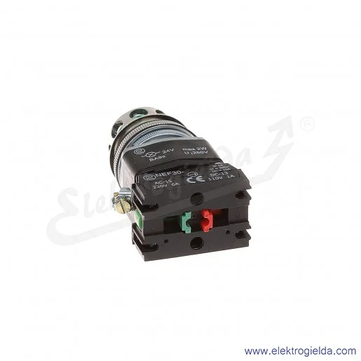 Przycisk sterowniczy NEF30 KLzXY 24V zielony kryty podświetlany 30mm 1NO+1NC