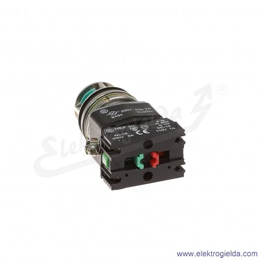 Przycisk sterowniczy NEF30 KLzXY 230V/W3 zielony kryty podświetlany 30mm 1NO+1NC morski