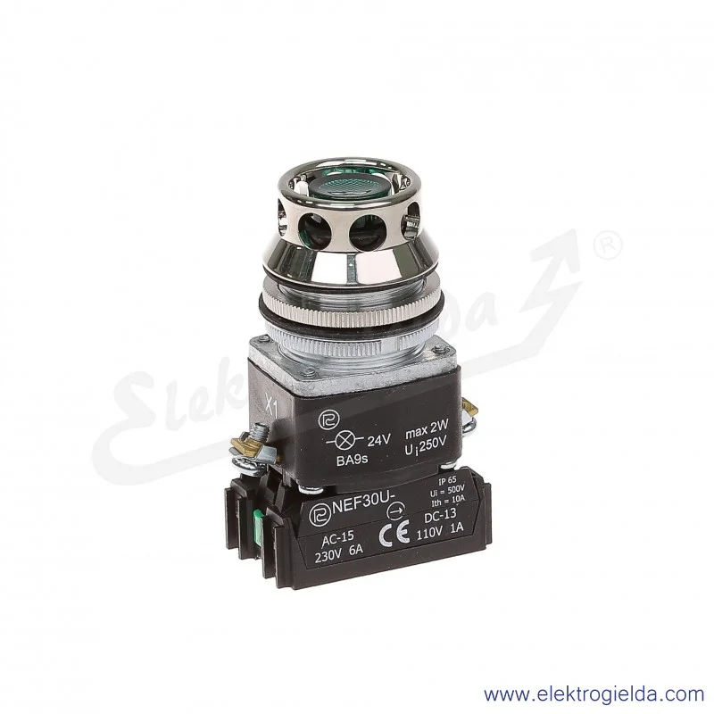 Przycisk sterowniczy NEF30 UKLzXY 24V zielony kryty podświetlany uszczelniony 30mm 1NO+1NC