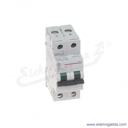 Wyłącznik nadprądowy G62B06 2P AC 6kA