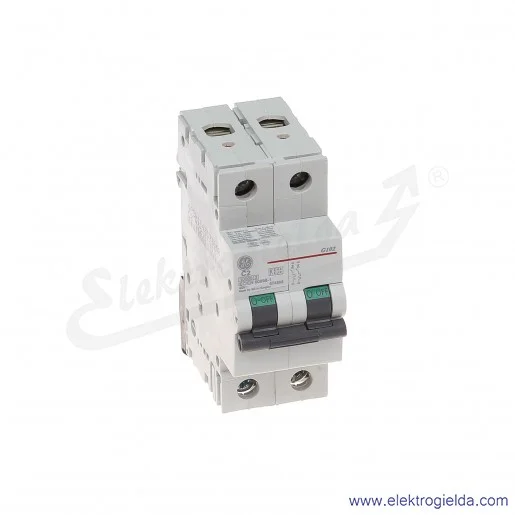 Wyłącznik nadprądowy G102C02 2P AC 10kA