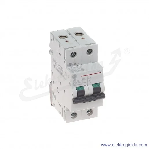 Wyłącznik nadprądowy G102C04 2P AC 10kA