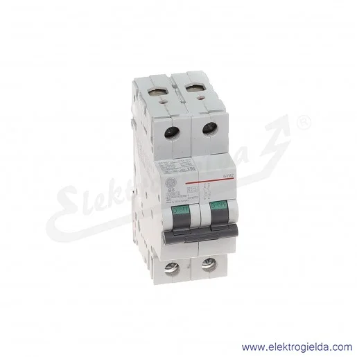 Wyłącznik nadprądowy G102B06 2P AC 10kA