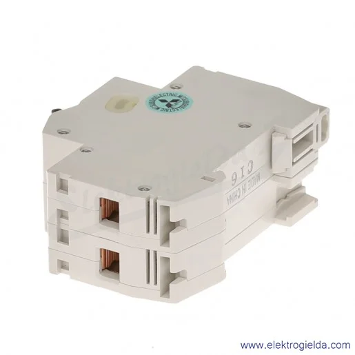 Wyłącznik instalacyjny 247651, BH-D6, 2P, 16A, TYP C