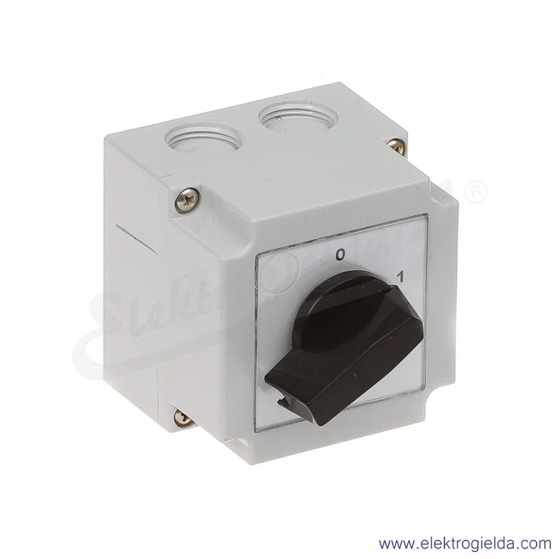4G10-91-PK /0-1/ 2P Łącznik krzywkowy w obudowie