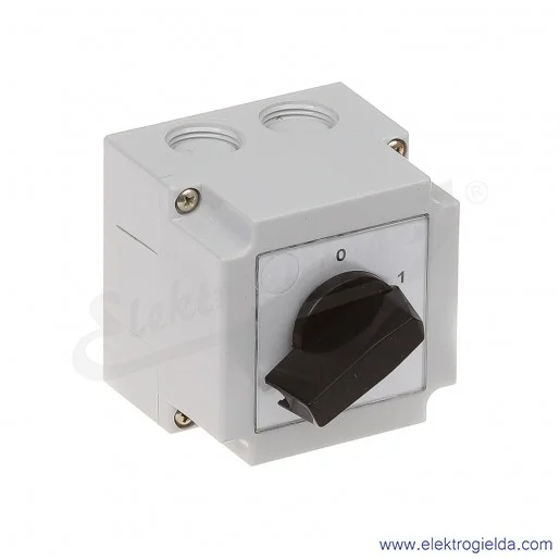 4G10-91-PK /0-1/ 2P Łącznik krzywkowy w obudowie