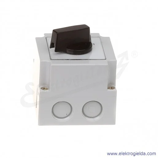 4G10-91-PK /0-1/ 2P Łącznik krzywkowy w obudowie