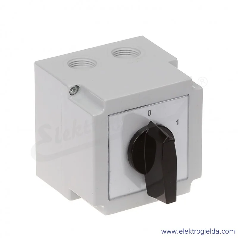 4G16-91-PK /0-1/ 16A 2P Łącznik krzywkowy w obudowie
