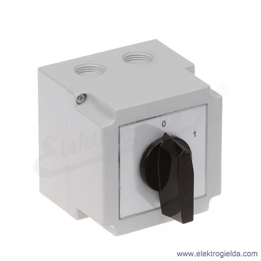 4G16-91-PK /0-1/ 16A 2P Łącznik krzywkowy w obudowie