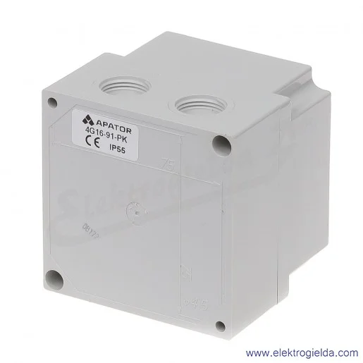 4G16-91-PK /0-1/ 16A 2P Łącznik krzywkowy w obudowie