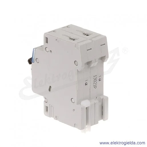 Wyłącznik nadprądowy S302 D 1 2P 6kA AC TX3