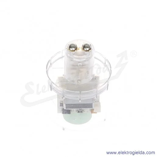 Żarówka LED 893016313, dioda LLB, zielona, migająca, 230V AC/DC