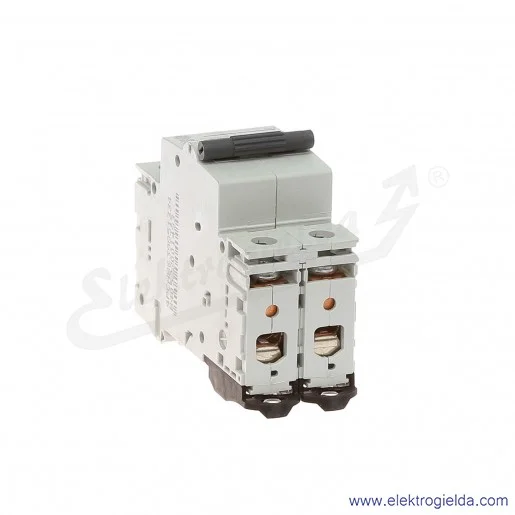 Wyłącznik nadprądowy G62B40 2P AC 6kA