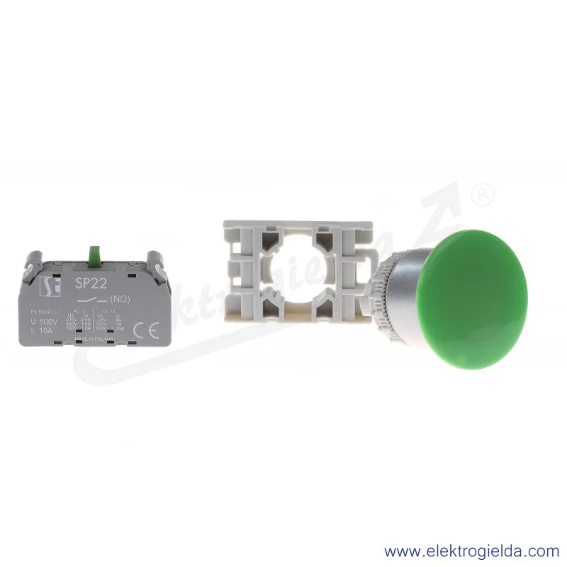 SP22-DZ-10
