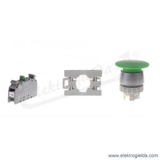 SP22-DZ-10
