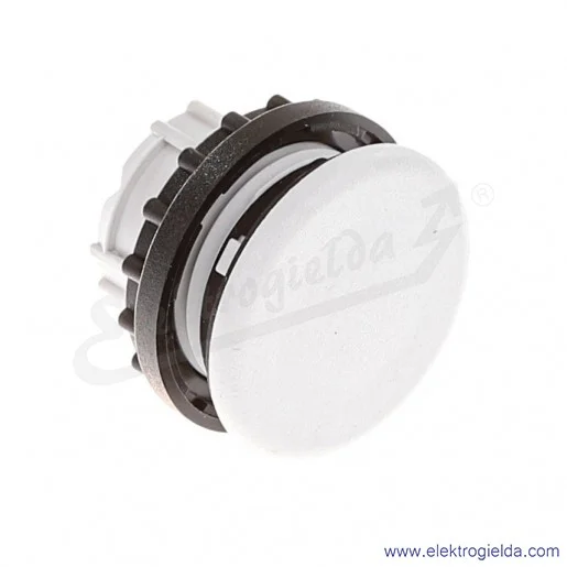 Zaślepka szara 216388, M22-B, fi 22mm Zaślepka szara 216388, M22-B, fi 22mm