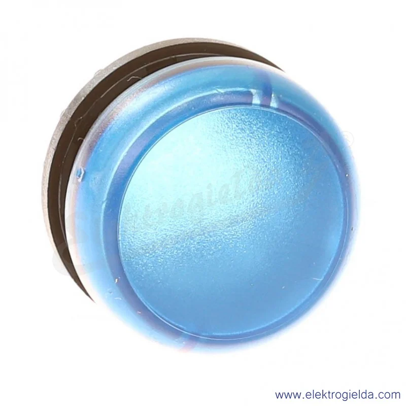 Główka lampki 216775, M22-L-B, niebieska płaska, 22mm, IP67