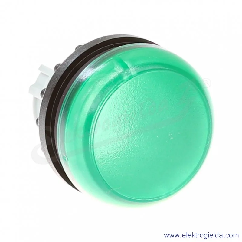 Główka lampki 216773, M22-L-G, zielona płaska, 22mm, IP67
