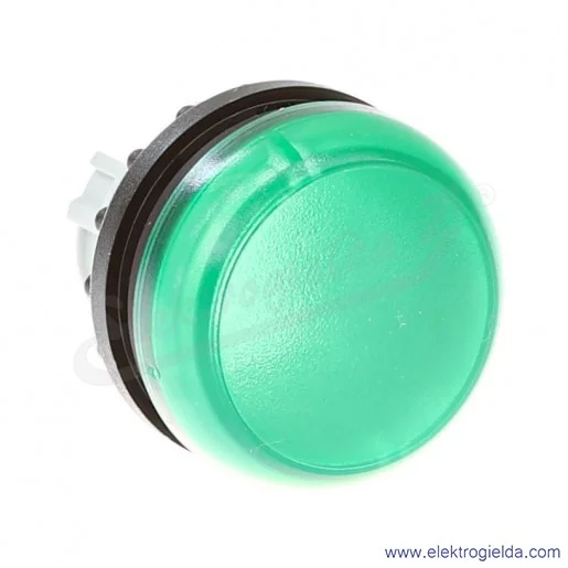Główka lampki 216773, M22-L-G, zielona płaska, 22mm, IP67