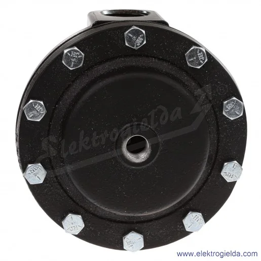 Reduktor 11-808-960, G3/4, 0.16-20 Bar, 10800 l/min, przyłącze pilota Rc1/4, przyłacze manometru Rc1/8 Reduktor 11-808-960, G3/4, 0.16-20 Bar, 10800 l/min, przyłącze pilota Rc1/4, przyłacze manometru Rc1/8
