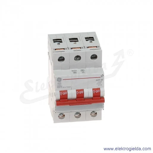 Rozłącznik gł&oacute;wny AST M 63 30 3P 63A