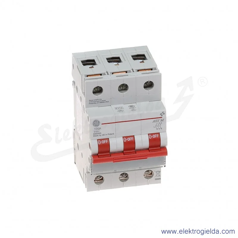 Rozłącznik gł&oacute;wny AST M 100 30 3P 100A