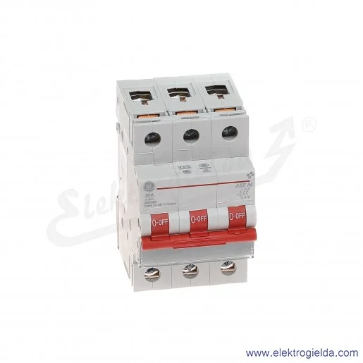 Rozłącznik gł&oacute;wny AST M 80 30 3P 80A