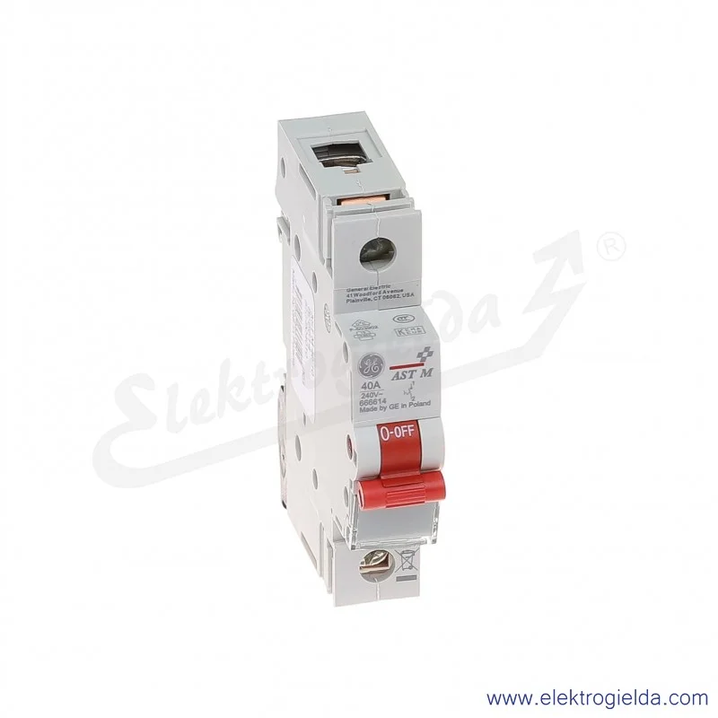 Rozłącznik gł&oacute;wny AST M 40 10 1P 40A