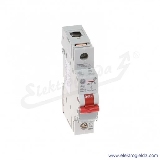 Rozłącznik gł&oacute;wny AST M 40 10 1P 40A
