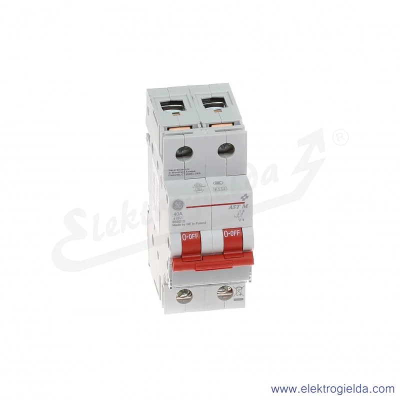 Rozłącznik gł&oacute;wny AST M 40 20 2P 40A