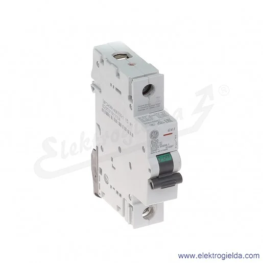 Wyłącznik nadprądowy G61B20 1P AC 6kA