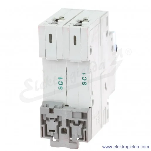 Wyłącznik nadprądowy S302 C 1 2P 6kA AC TX3