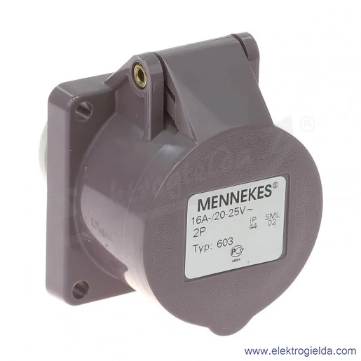 Gniazdo naścienne 603 2P 16A 24V IP44