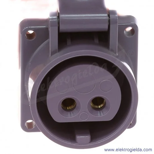 Gniazdo naścienne 603 2P 16A 24V IP44