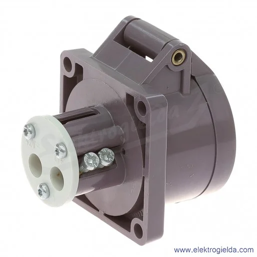 Gniazdo naścienne 603 2P 16A 24V IP44