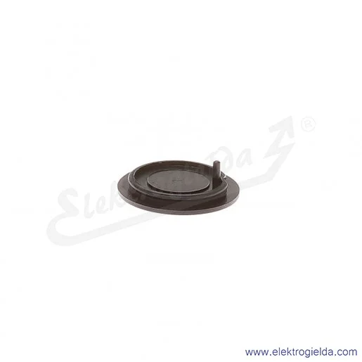 Soczewka P9ARBGN006 strzałka