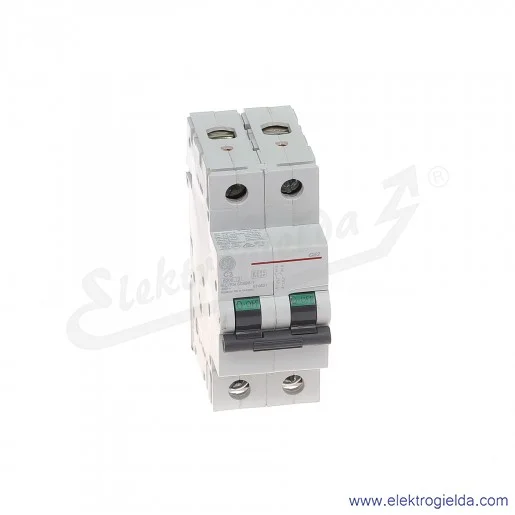 Wyłącznik nadprądowy G62C03 2P AC 6kA