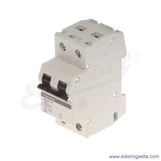 Wyłącznik instalacyjny 247736, BH-D6, 2P, 2A, TYP C Wyłącznik instalacyjny 247736, BH-D6, 2P, 2A, TYP C