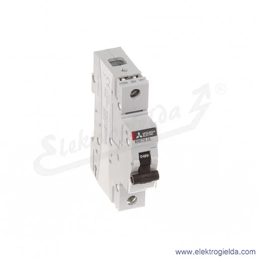 Wyłącznik instalacyjny 291957, BHW-T10, 1P, 4A, TYP C Wyłącznik instalacyjny 291957, BHW-T10, 1P, 4A, TYP C