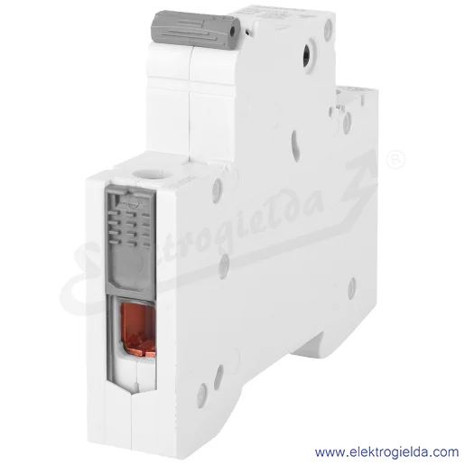 Zdjęcie produktu widok szczegółowy Zdjęcie produktu widok szczegółowy