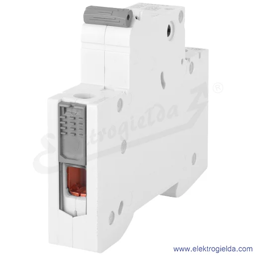 Zdjęcie produktu widok szczegółowy Zdjęcie produktu widok szczegółowy