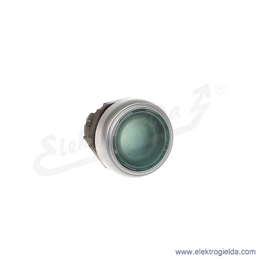Przycisk główka LPC BL103 zielony podświetlany, kryty, samoczynny powrót Przycisk główka LPC BL103 zielony podświetlany, kryty, samoczynny powrót