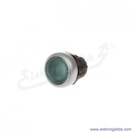 Przycisk główka LPC BL103 zielony podświetlany, kryty, samoczynny powrót Przycisk główka LPC BL103 zielony podświetlany, kryty, samoczynny powrót