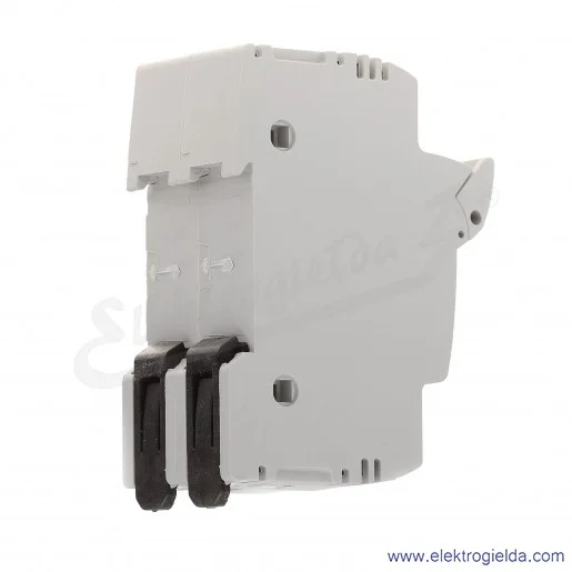 Podstawa bezpiecznikowa FB01D2P 10x38mm 2P Podstawa bezpiecznikowa FB01D2P 10x38mm 2P