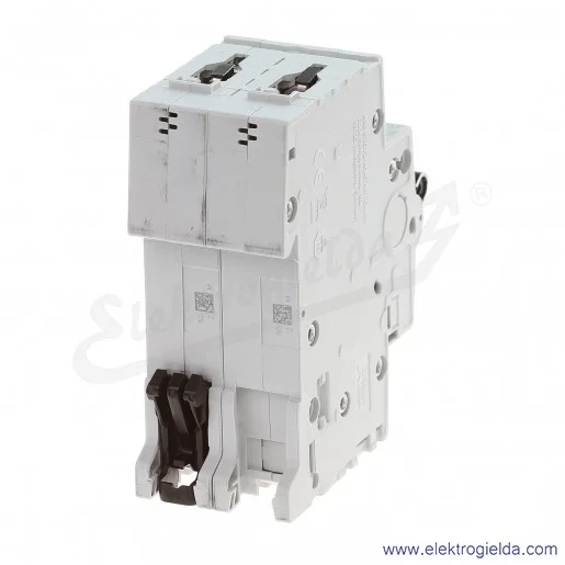 Wyłącznik nadprądowy S202-D2 2P D 2A AC 6kA Wyłącznik nadprądowy S202-D2 2P D 2A AC 6kA